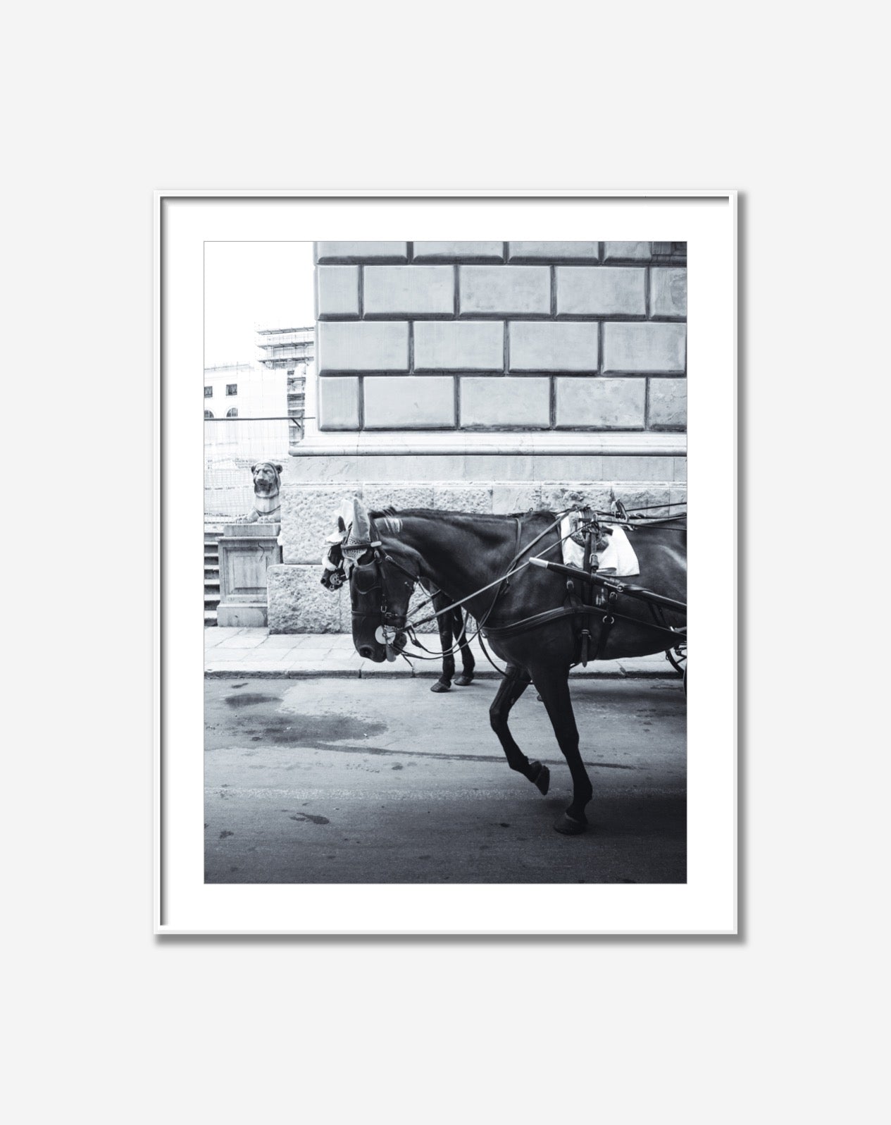 Black Horse